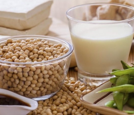 soy to lower progesterone