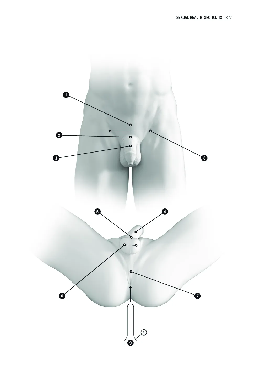 Page 341 of 358
