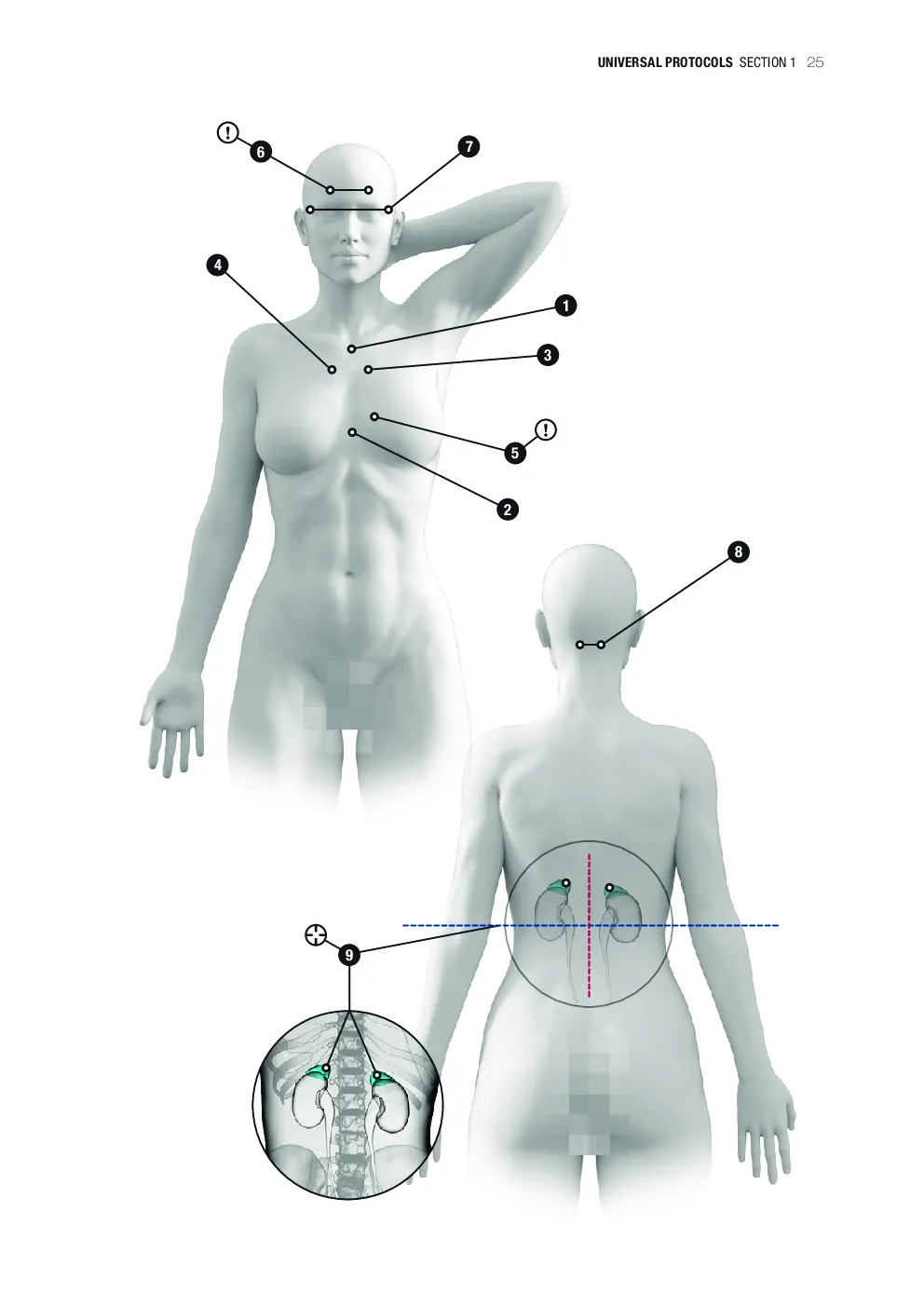 Page 31 of 78